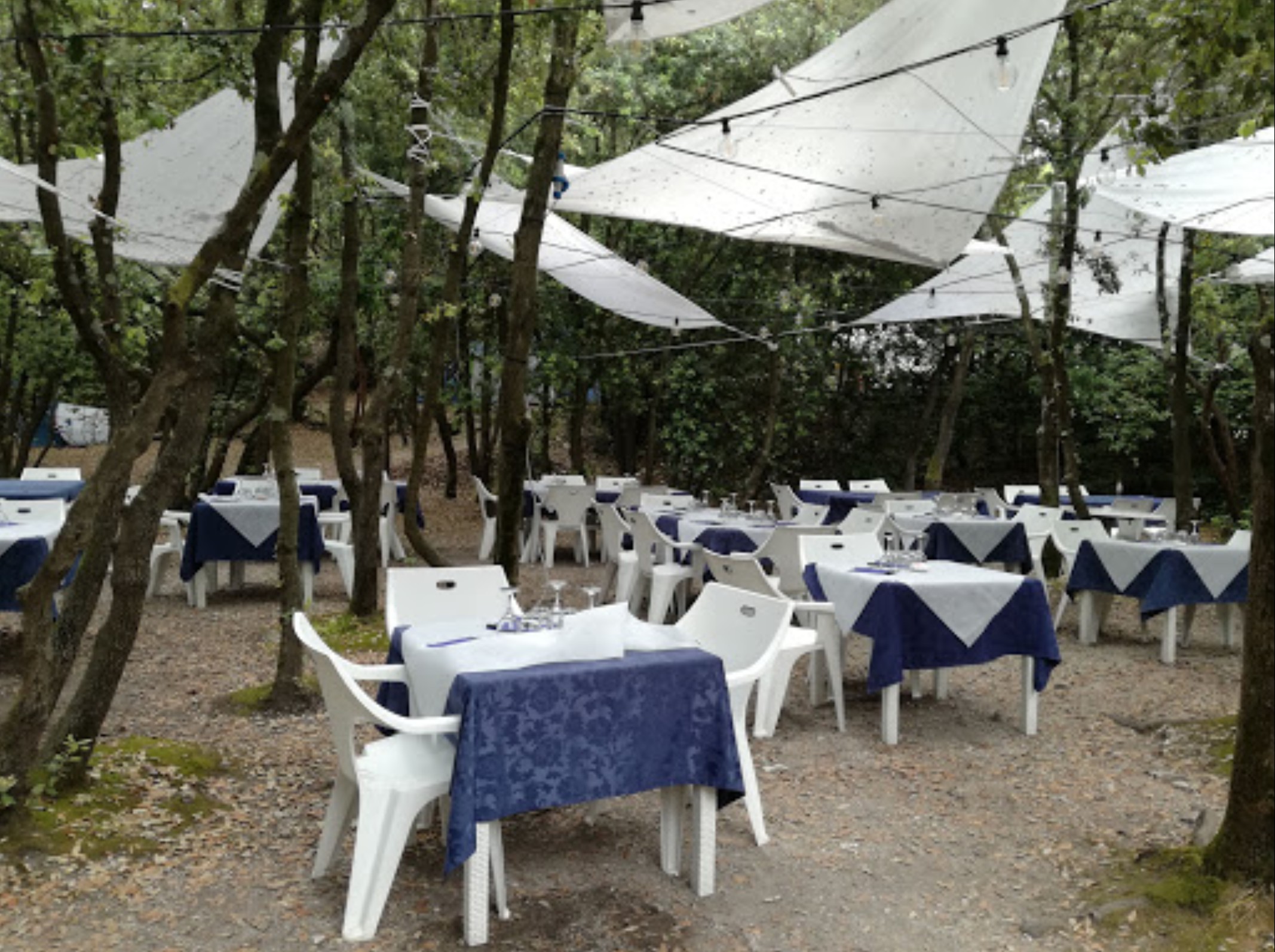 Ristorante Il Boschetto Campeggio La Torre Portonovo Ancona